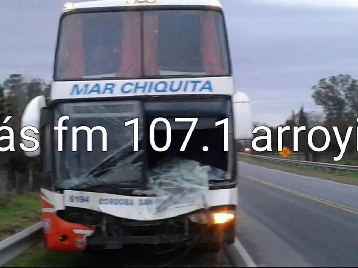Colectivo colisionó con un equino en la Ruta 19