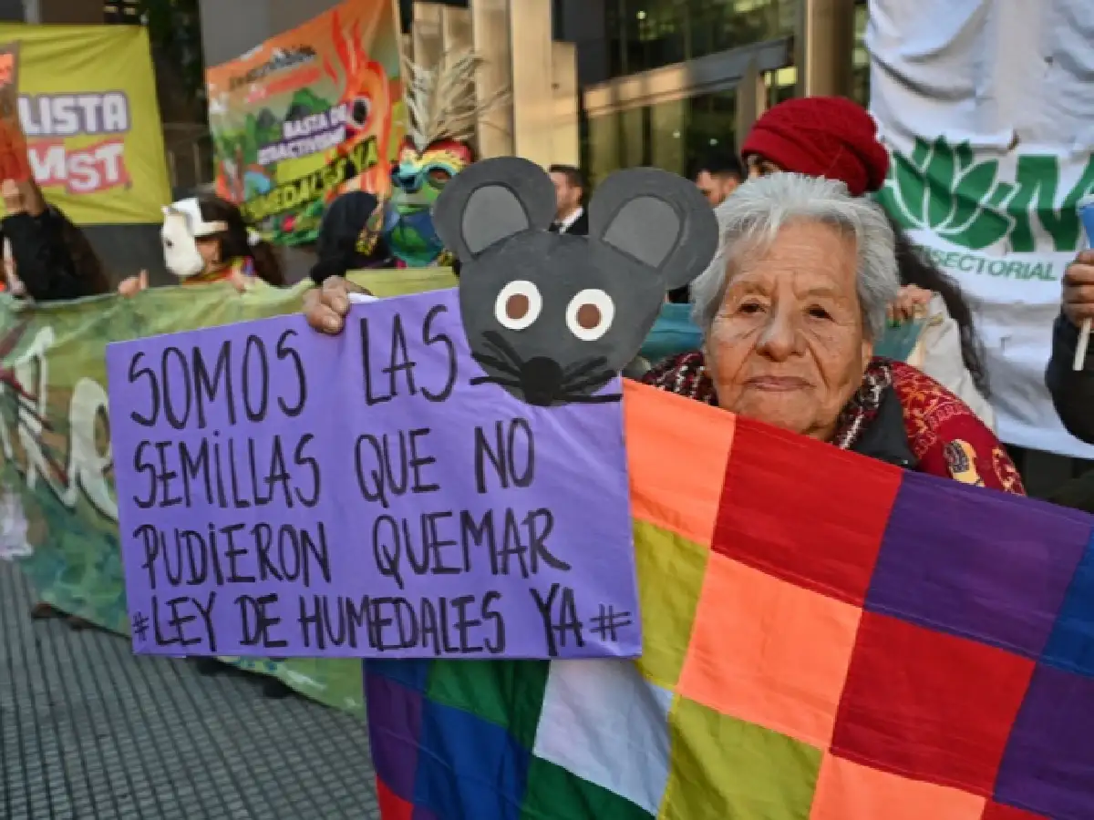 Postergaron hasta el jueves el dictamen de la "Ley de humedales"