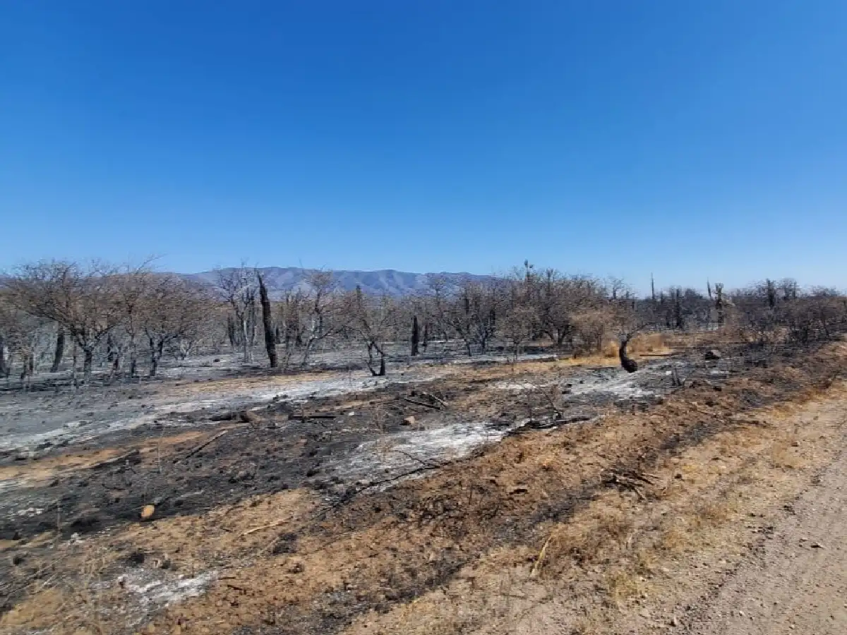 Confirman una víctima fatal en el incendio de Yacanto de Calamuchita