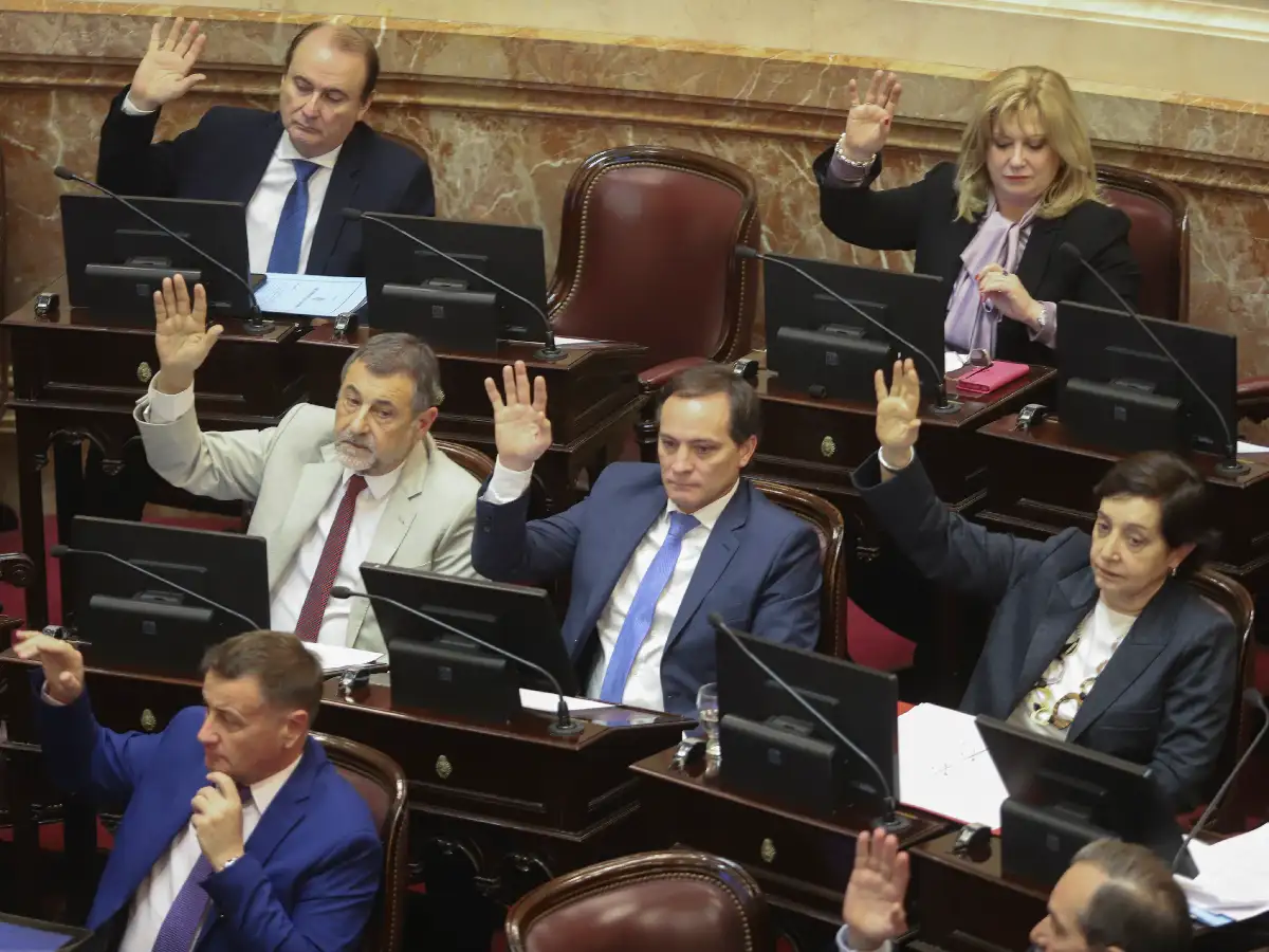 El Senado aprobó la prórroga de la Ley de Emergencia Alimentaria
