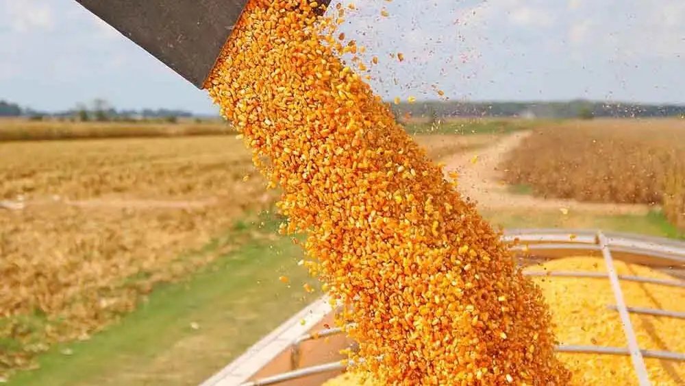 Buenas perspectivas para la campaña agrícola