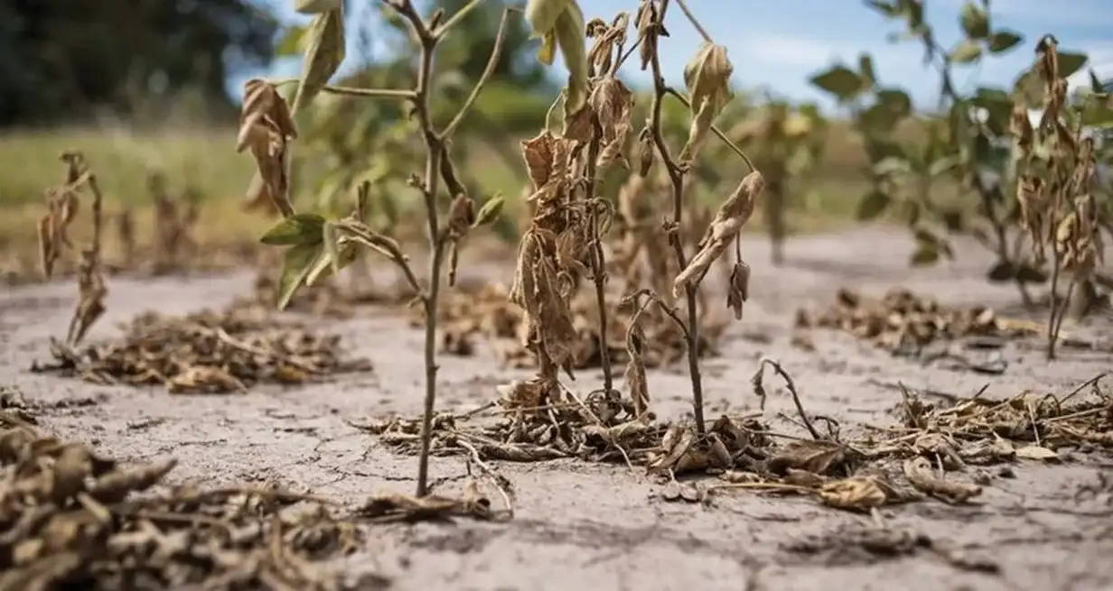 La humanidad ya consumió los recursos naturales previstos para todo 2023