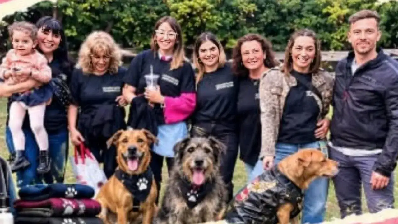 El Voluntariado de Zoonosis Mar del Plata invita a participar de una feria americana y una colecta de donaciones para sus perros.