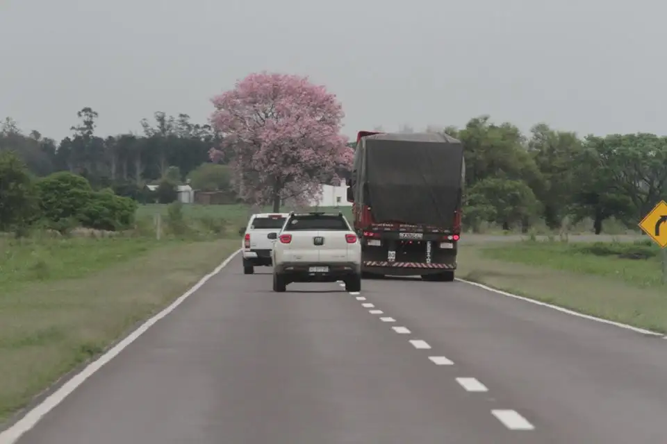 Estado del tránsito en rutas y accesos a Santa Fe
