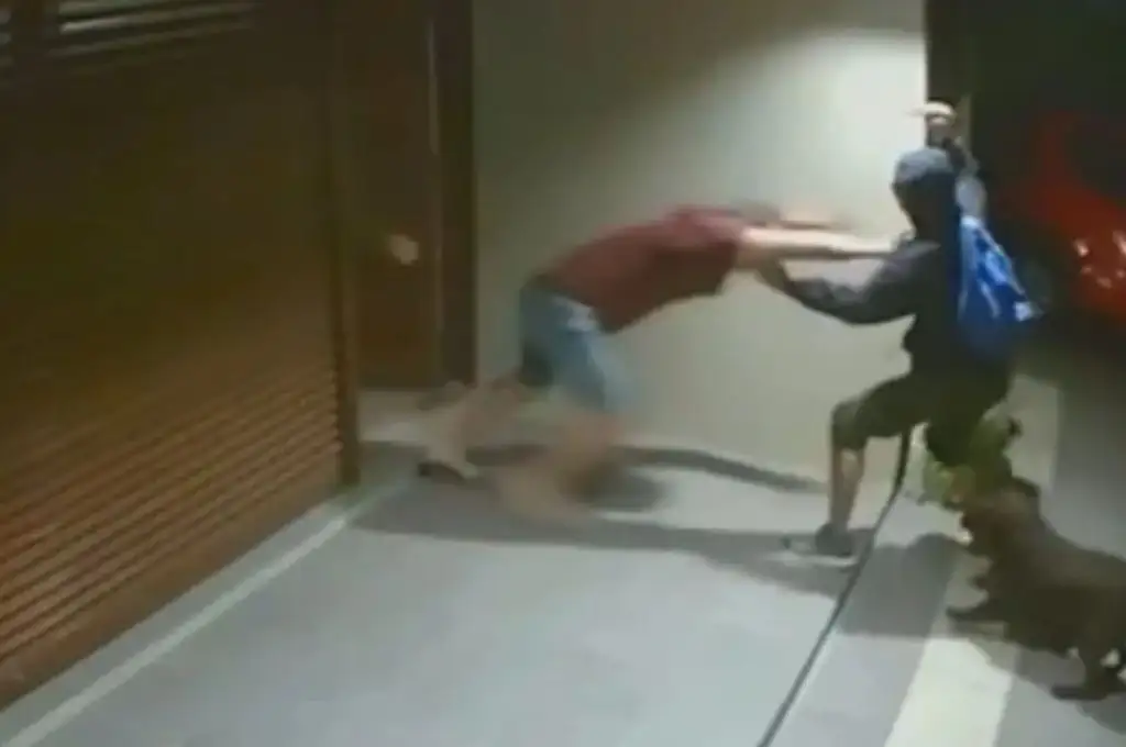 Violento robo