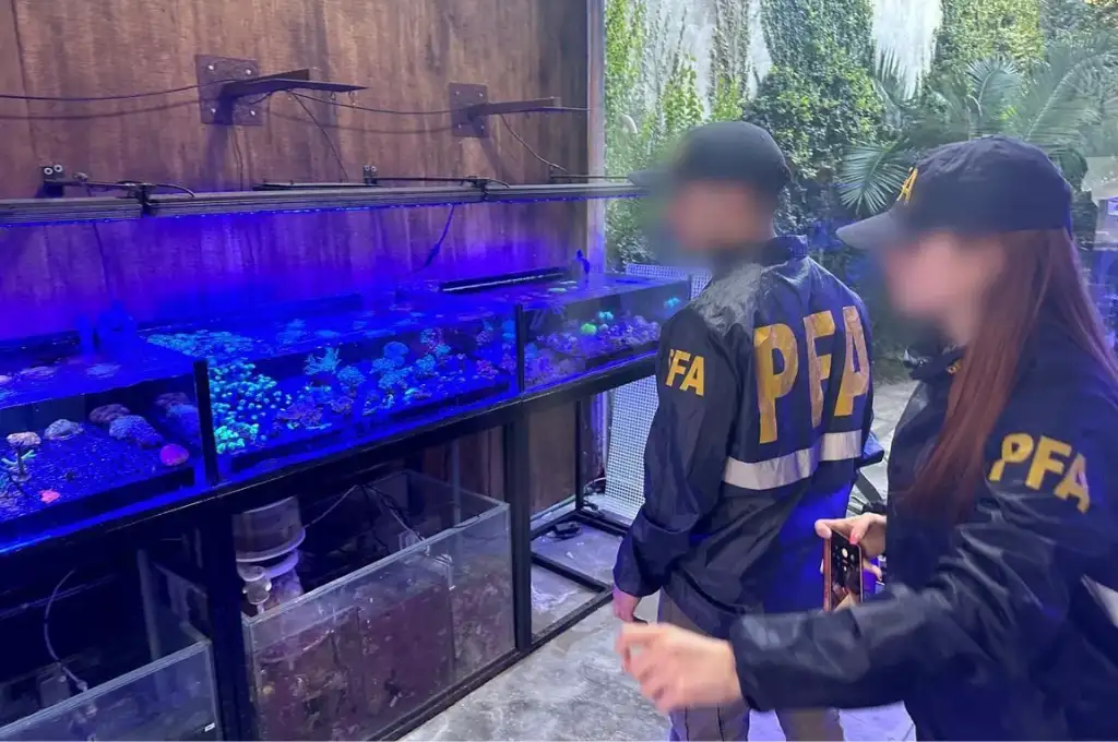 Los operativos se realizaron en los barrios de Belgrano, La Paternal, Villa Devoto y Villa Crespo.