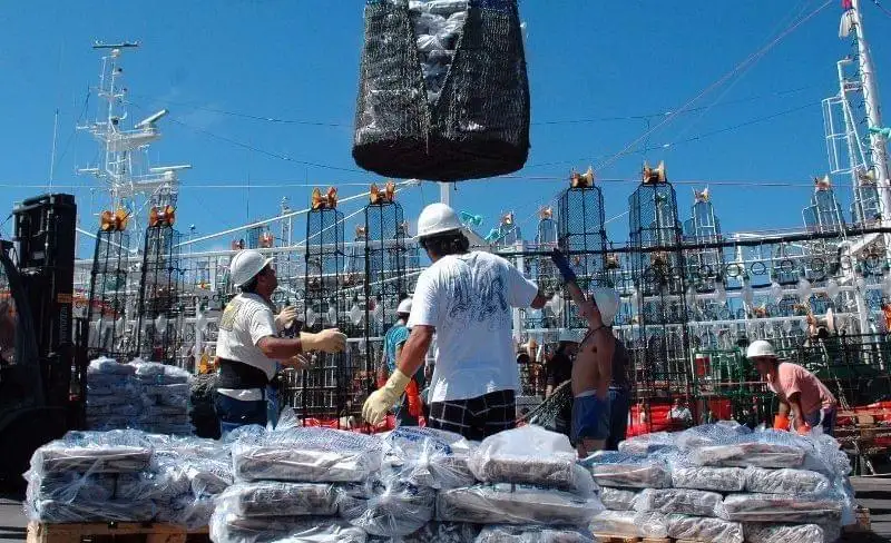 Mantienen promociones a buques poteros para generar trabajo en el Puerto