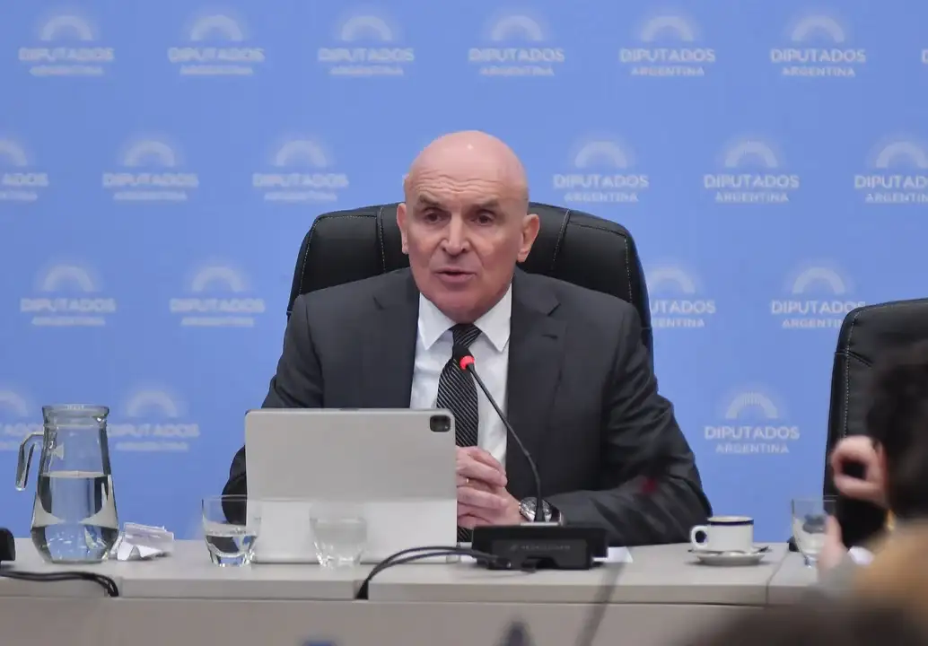 "El Poder Ejecutivo evaluará la posibilidad de convocar a extraordinarias para su tratamiento", dijo el libertario.
