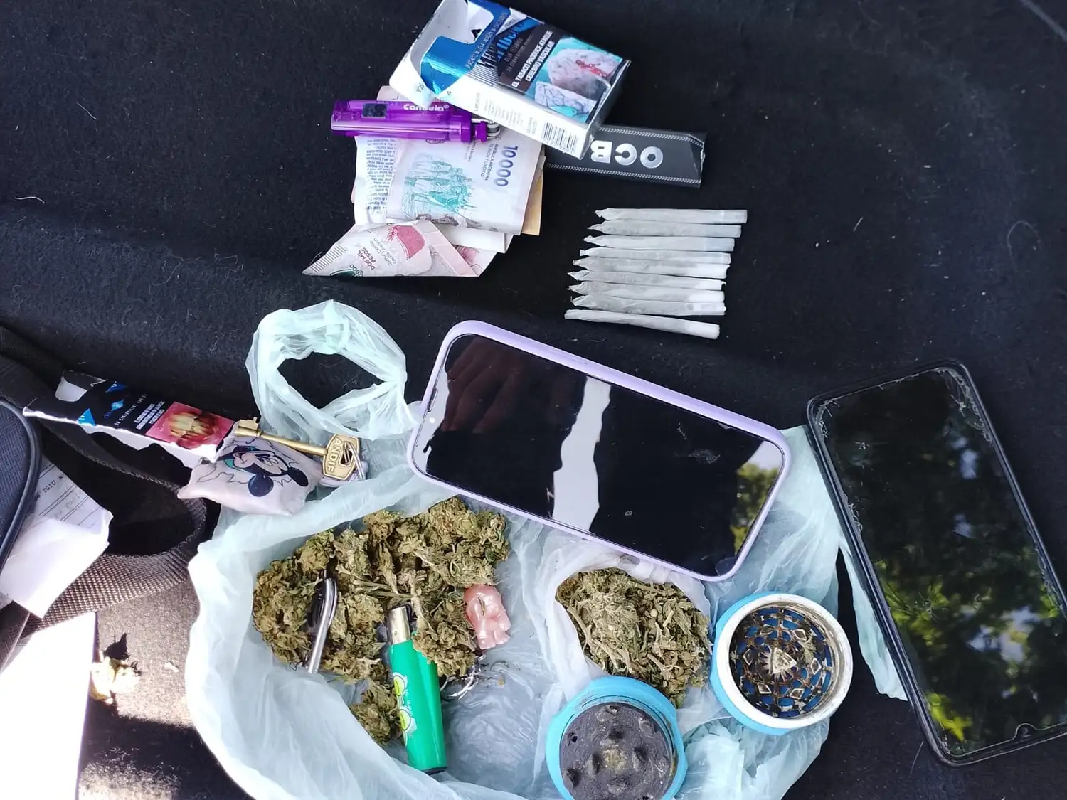 Se secuestraron nueve cigarrillos armados de manera casera y dos bolsitas de nylon con una sustancia vegetal seca de color verde, con características similares a cannabis.
