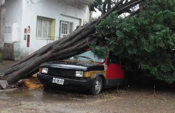 El temporal en imágenes