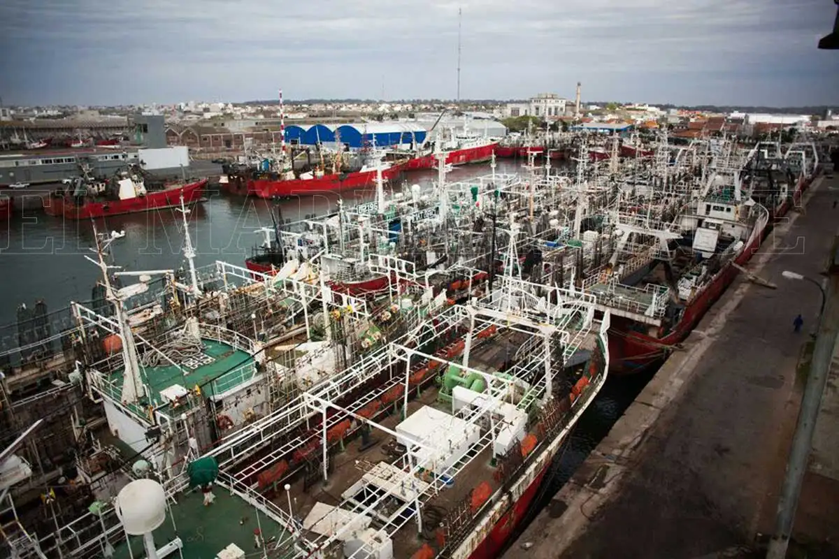 Remoción de barcos: "Necesitamos medidas para que no haya más abandonos"
