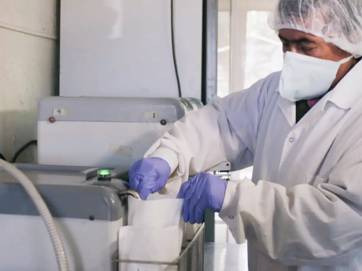 El primer equipo del país que pasteuriza leche envasada         