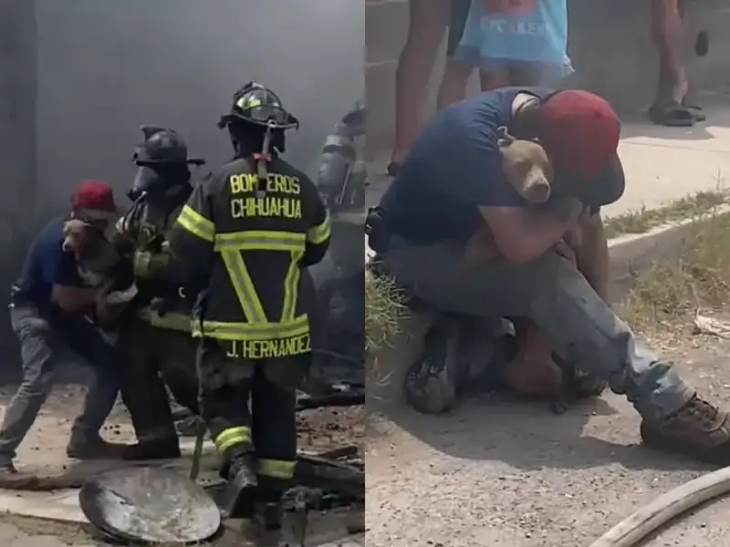 Rescate viral