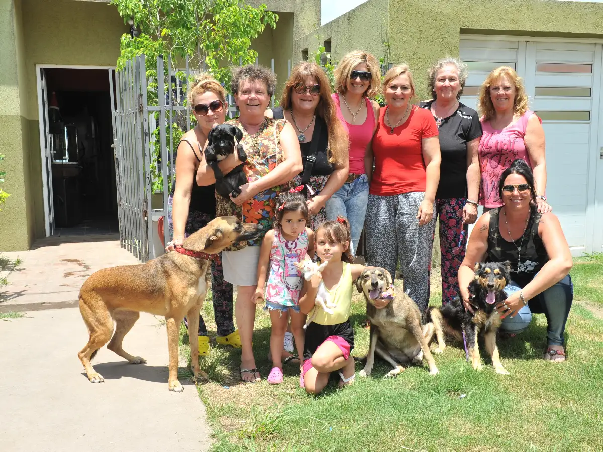 Proyecto Pulguitas, para proteger a los animales en Frontera  