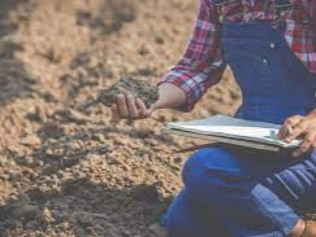 Un 74 % de los productores agropecuarios cree que su situación mejorará en los próximos meses