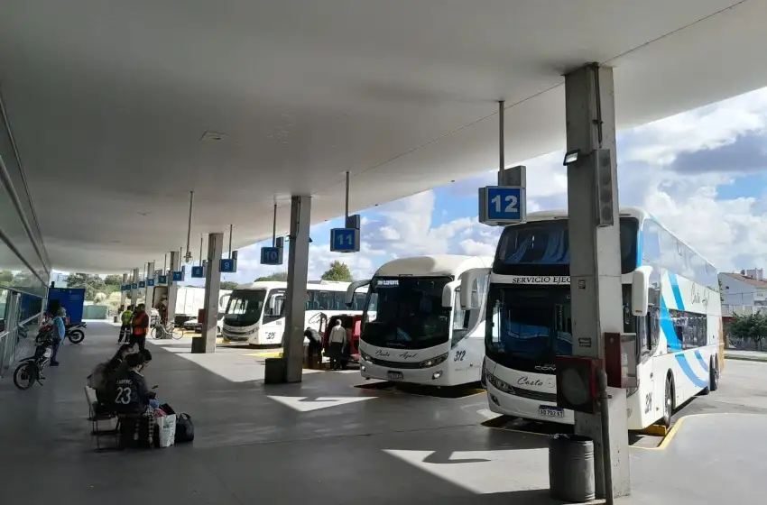 Al chofer se le suspendió la licencia profesional y se le labró el acta de infracción correspondiente