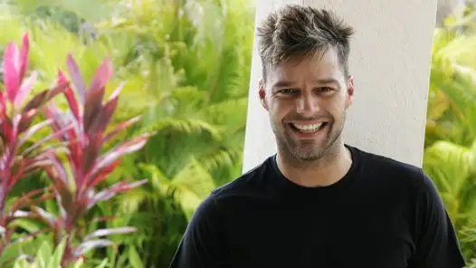 Ricky Martin rompió con su novio