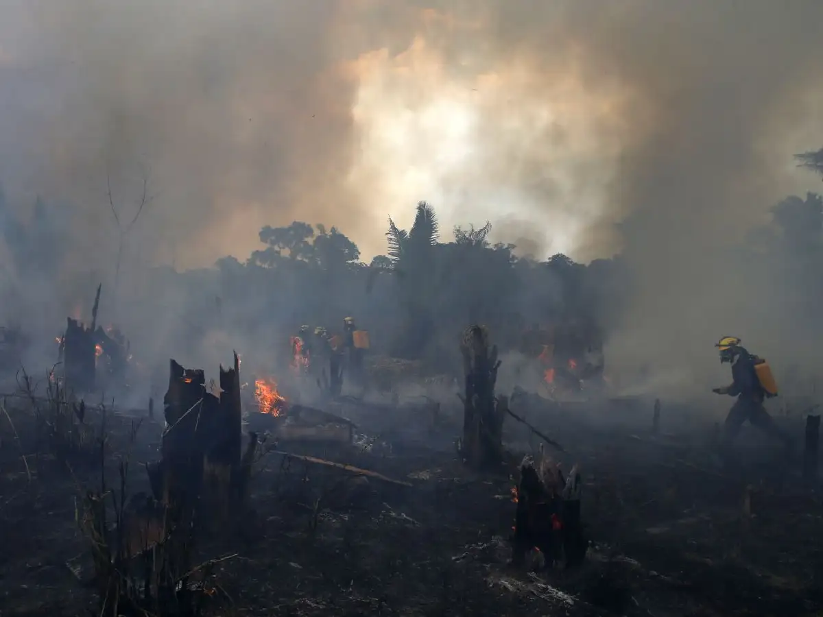 Los rigores del cambio climático azotan Brasil y Chile