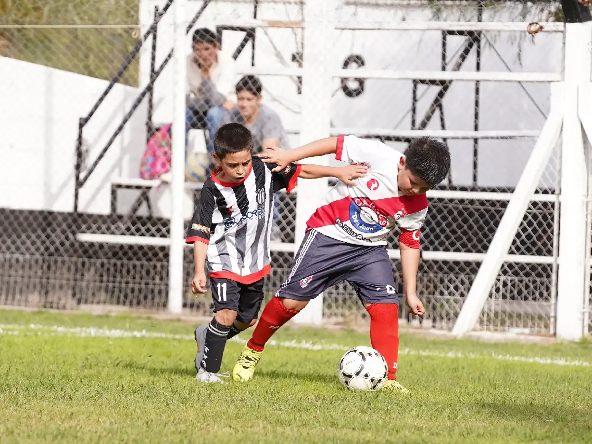 Sigue el torneo Apertura