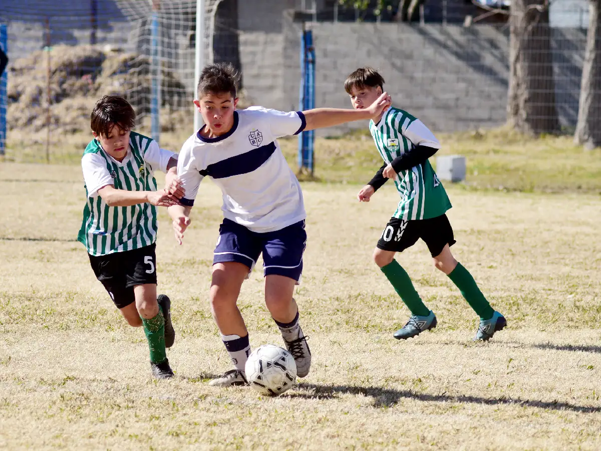 Van en busca  de la copa   