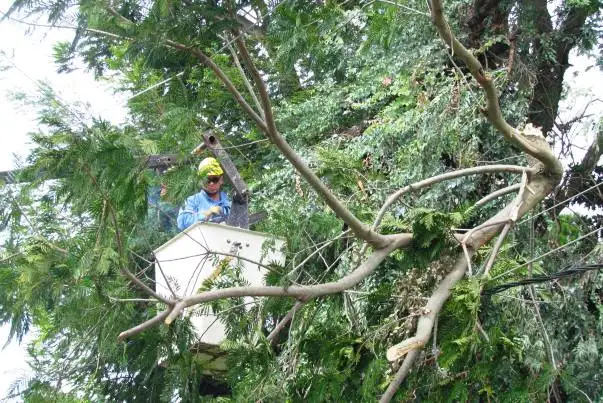 La EPE recupera el funcionamiento de instalaciones dañadas
