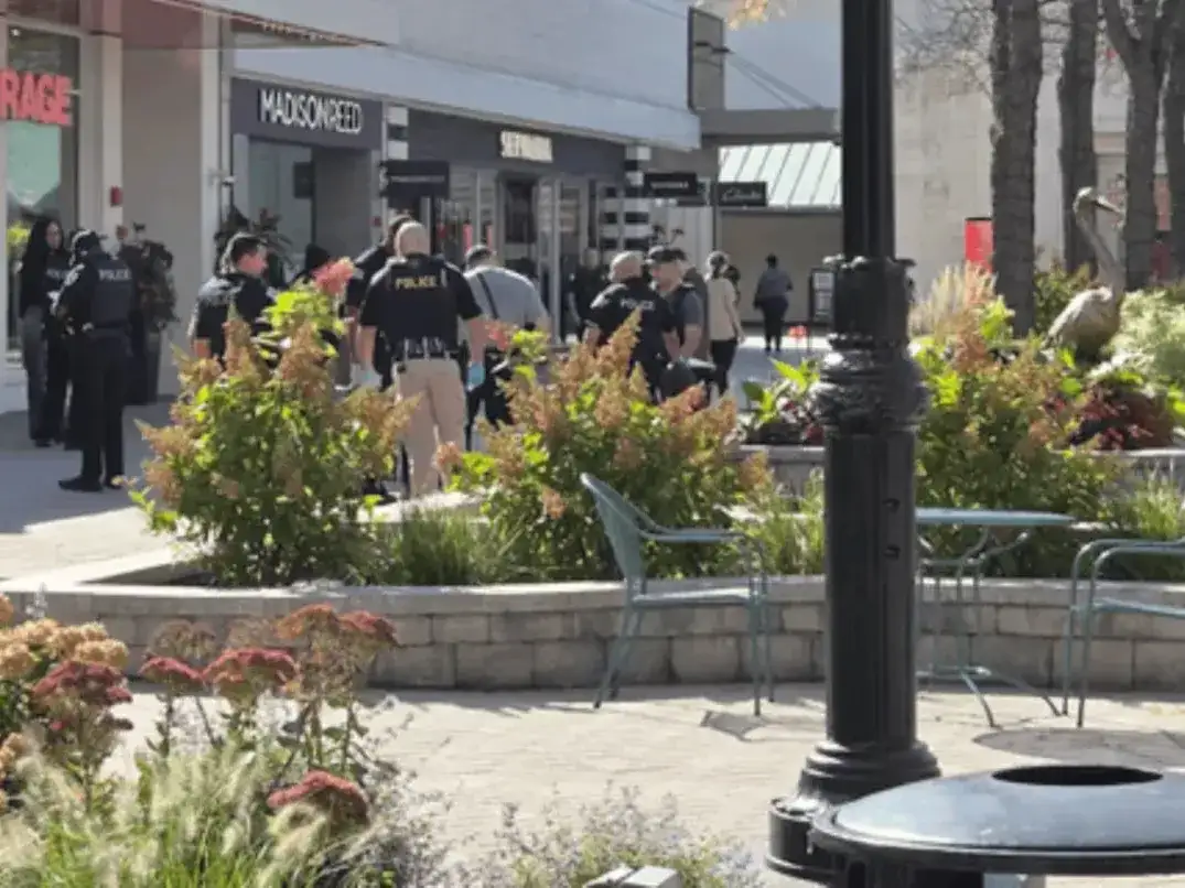 Intentó ahogar a una mujer en un shopping para robarle y varios testigos la salvaron