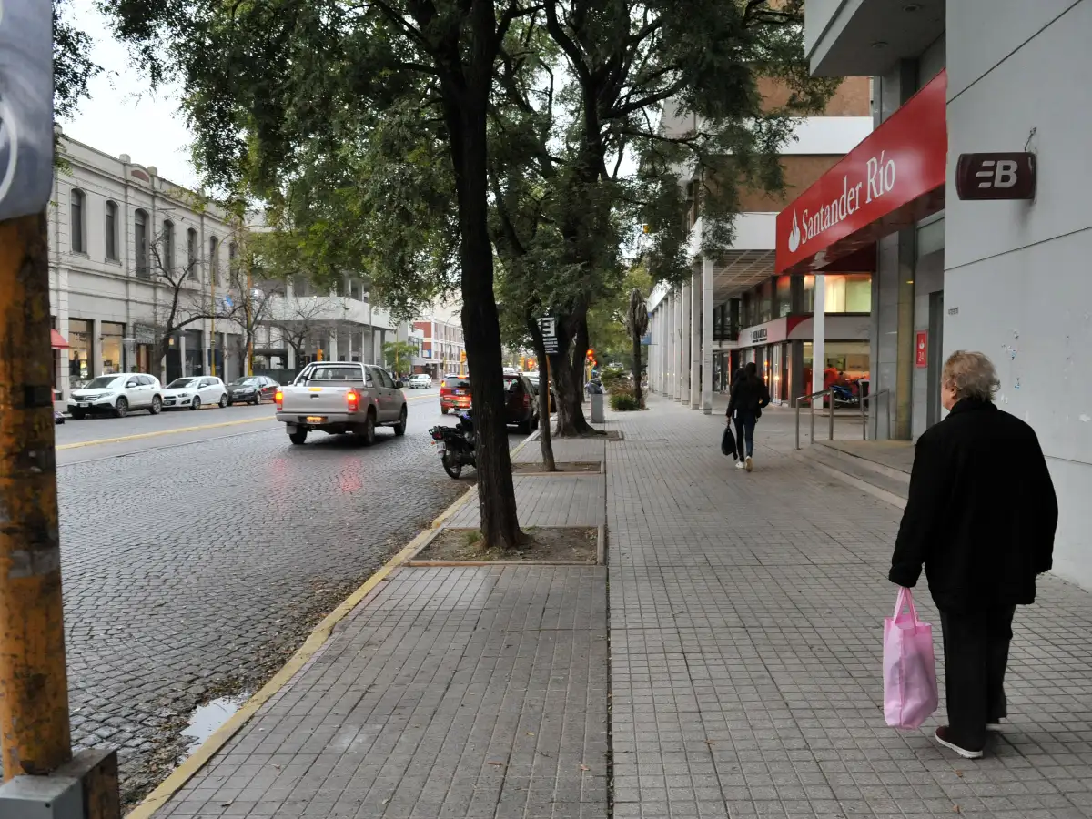 Inhibidores de alarmas: los detenidos cometieron dos robos el mismo día 