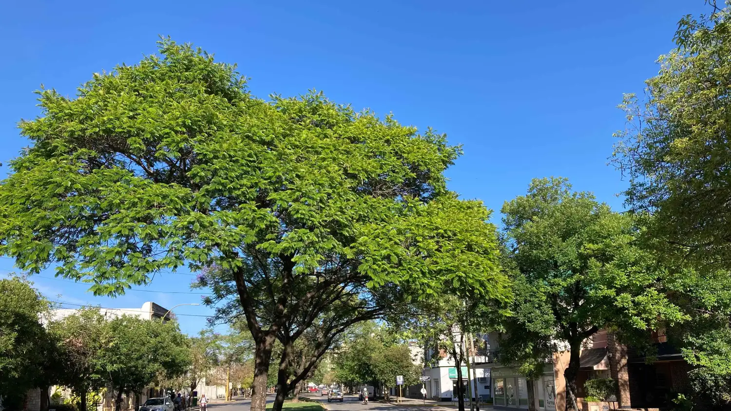 Mañana soleada en la ciudad.