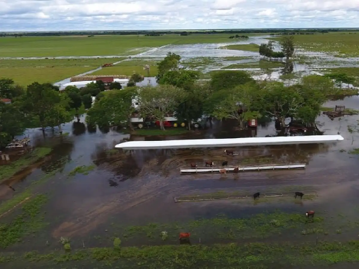 Distritos de San Cristóbal también entraron en emergencia agropecuaria