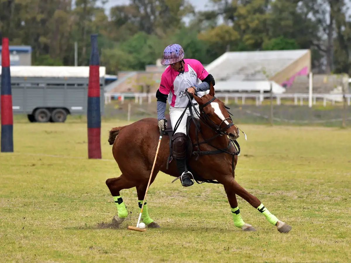 Así se juegan las instancias finales del torneo de polo