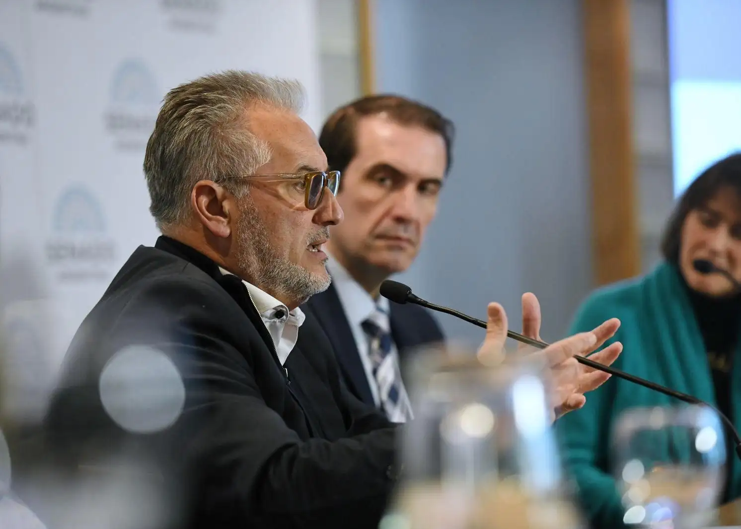 Lewandowski, senador nacional por la provincia de Santa Fe.