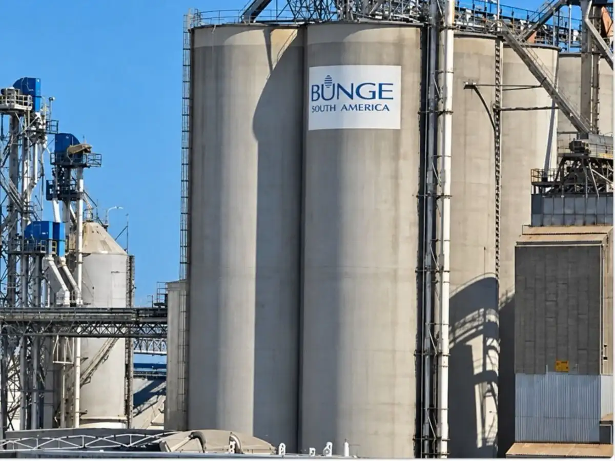 Bunge cerró su planta en Campana y peligra el empleo de 250 trabajadores