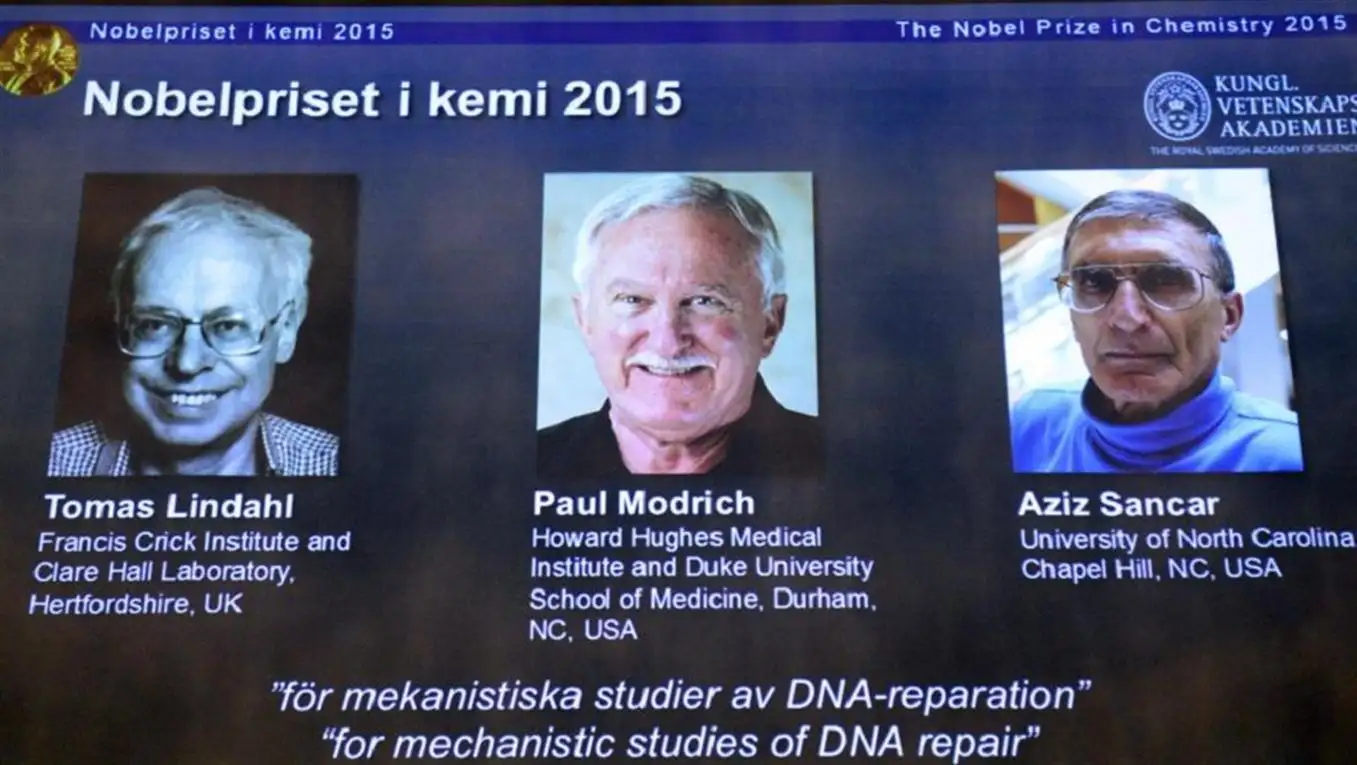 Premio Nobel de Química para estudios de reparación del ADN