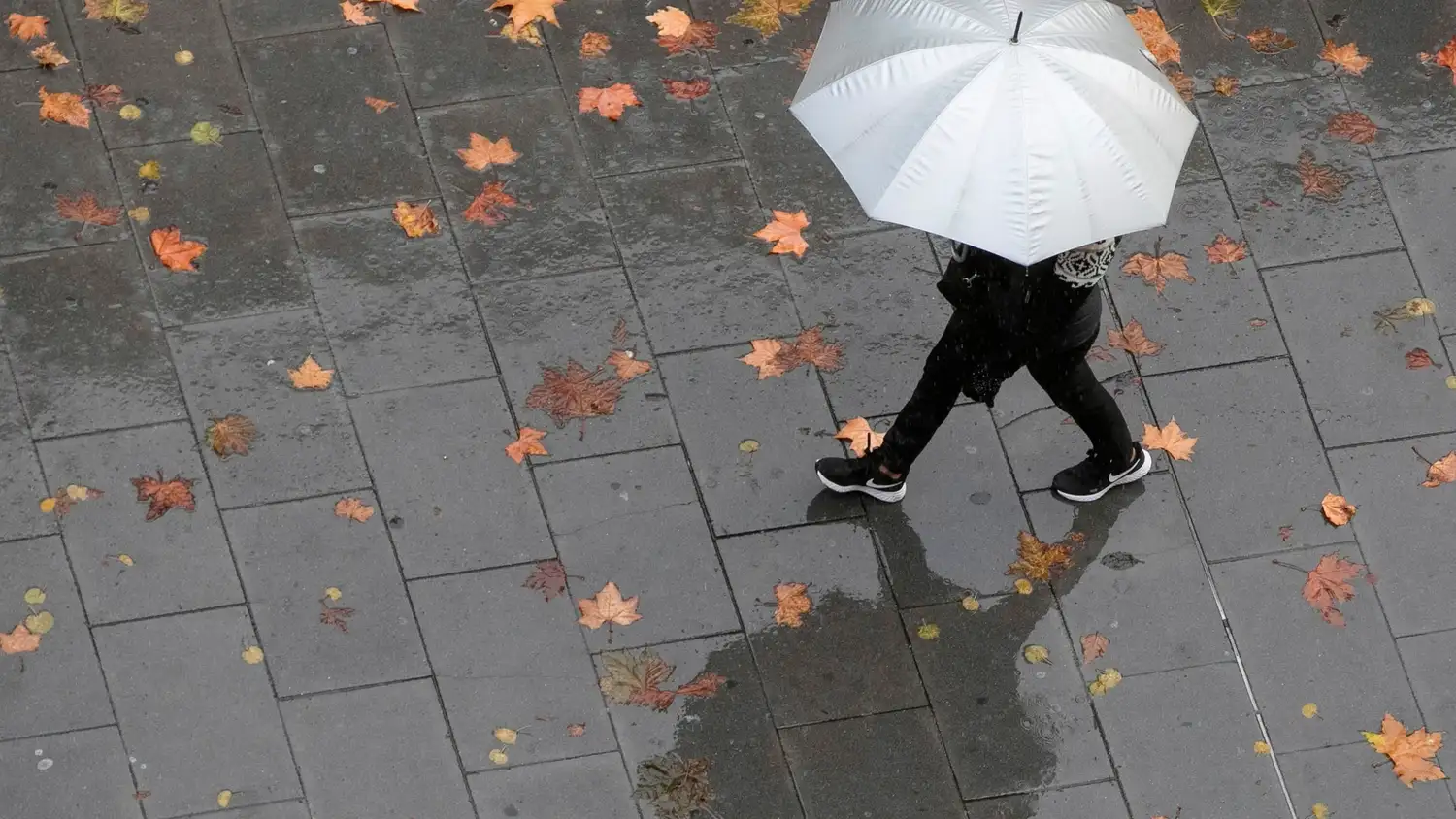 También se esperan lluvias moderadas en la Esmeralda del Sur.