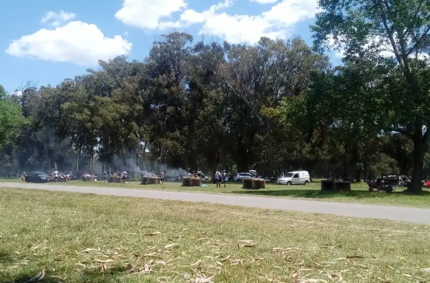 Reforestación en Camet: los árboles recién plantados ya están secos