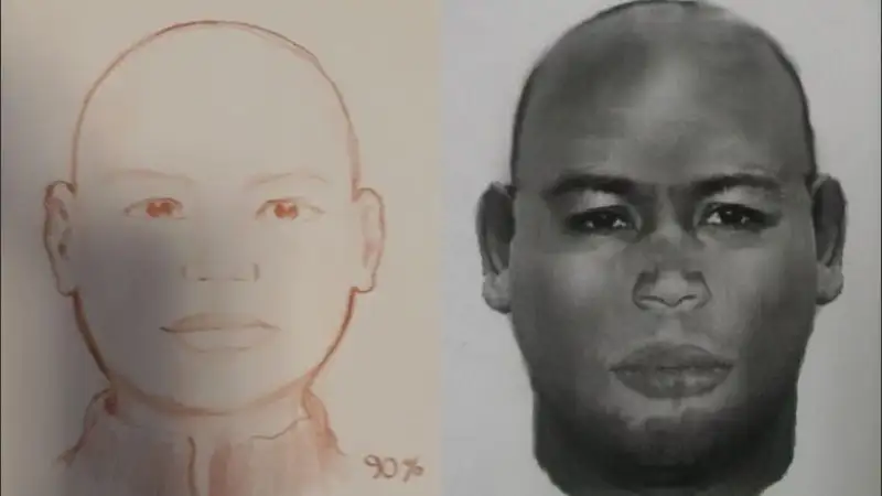 Arrestaron a un hombre e investigan si cometió ocho ataques sexuales