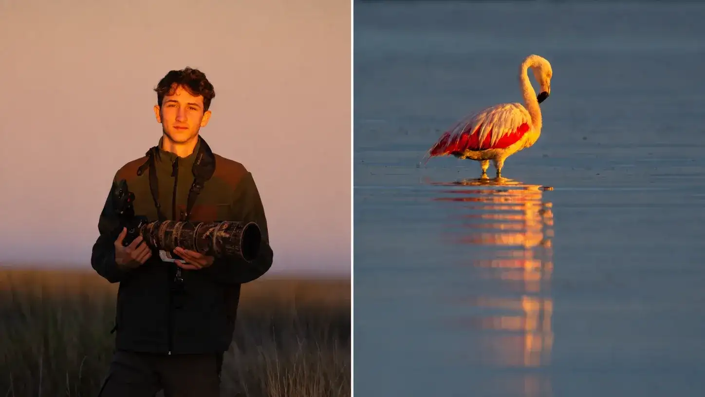 Serafín Robert Horst y una de sus fotos preferidas de Miramar: un flamenco iluminado por el atardecer, con sus colores reflejados en el agua de la laguna.