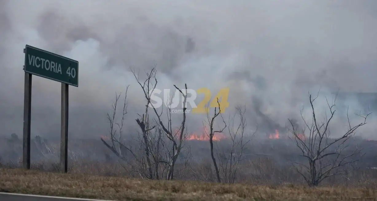 Incendios en el Delta del Paraná: Entre Ríos envió a la Justicia los datos de los propietarios de las islas