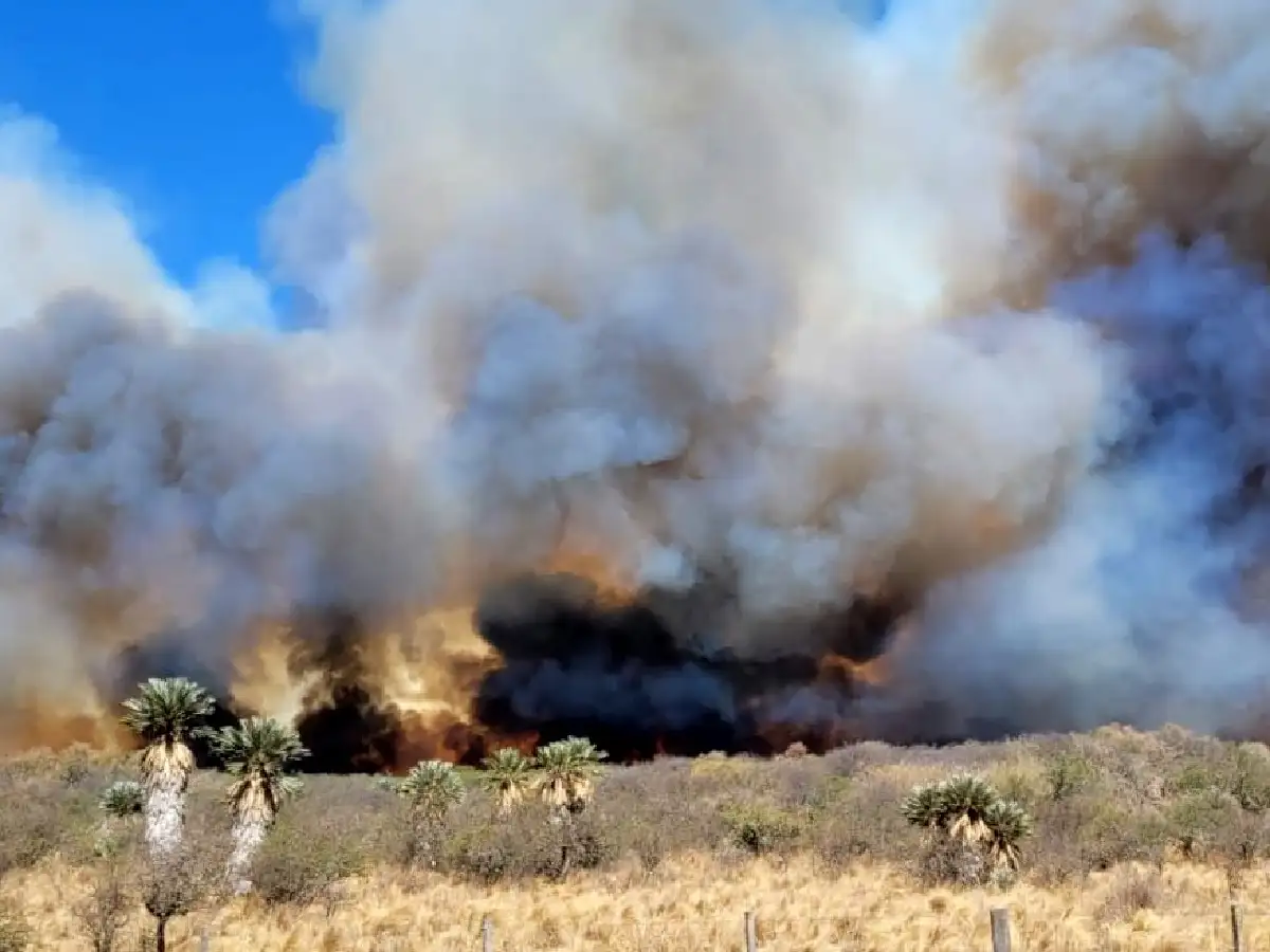 Bomberos combaten un incendio en zona de Salsacate