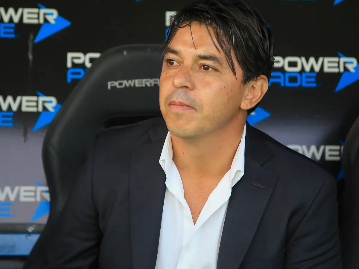 Los problemas de Gallardo