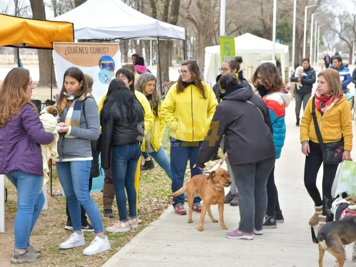 “Venite al Parque” tuvo su feria mascotera, con vacunación y adopción de cachorros