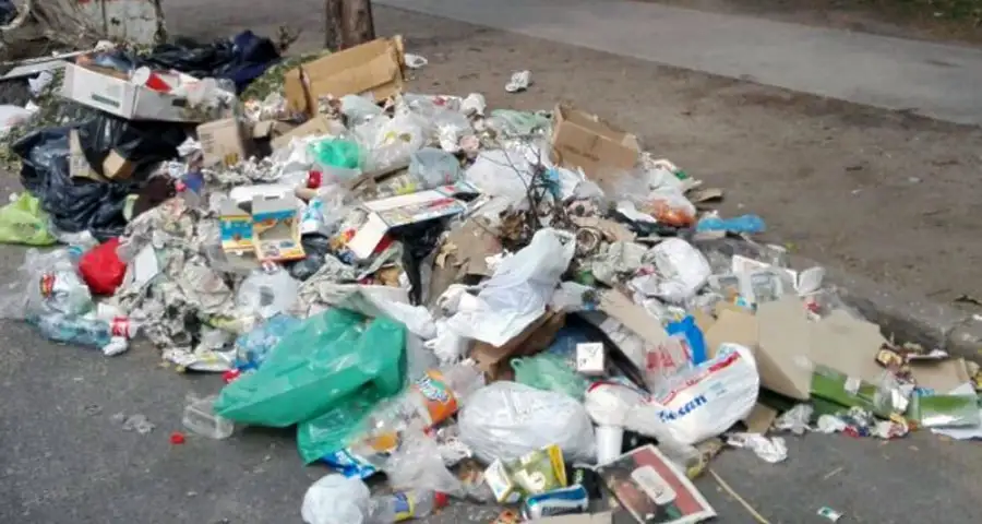 Microbasurales: "Hay una irresponsabilidad manifiesta de los ciudadanos"