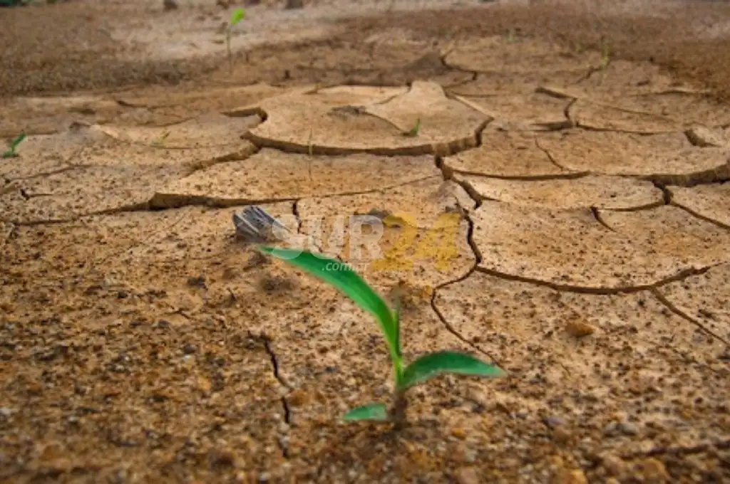 La ONU donó 2 millones de dólares a San Luis para combatir el cambio climático