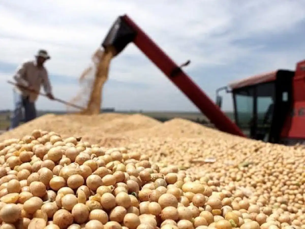 Bajante del Paraná: complejo agroindustrial perdería USD 315 millones        