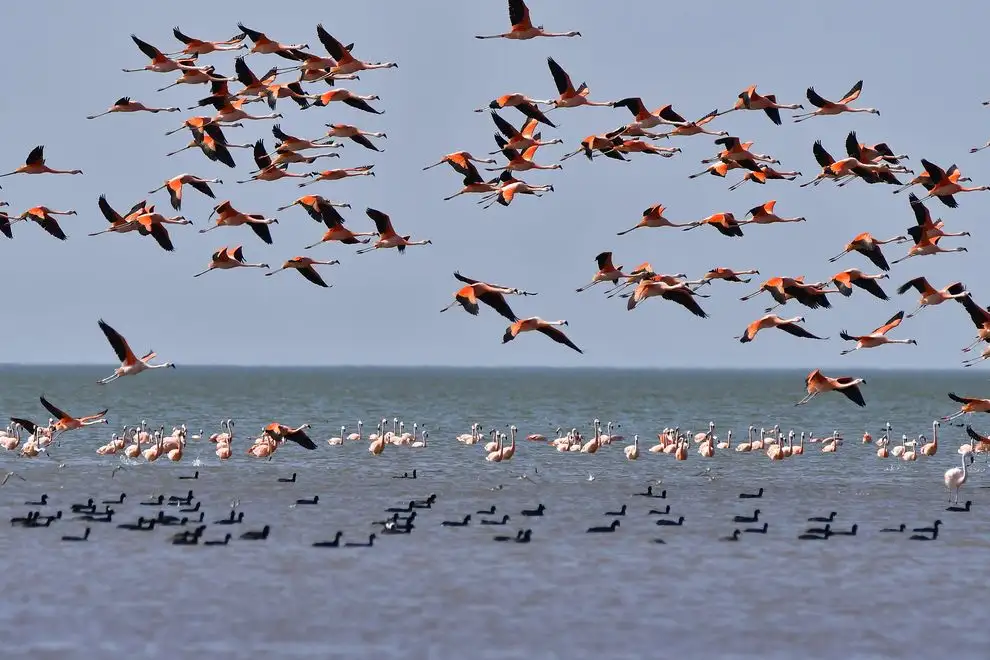 La Laguna Mar Chiquita, un ecosistema clave para la biodiversidad.