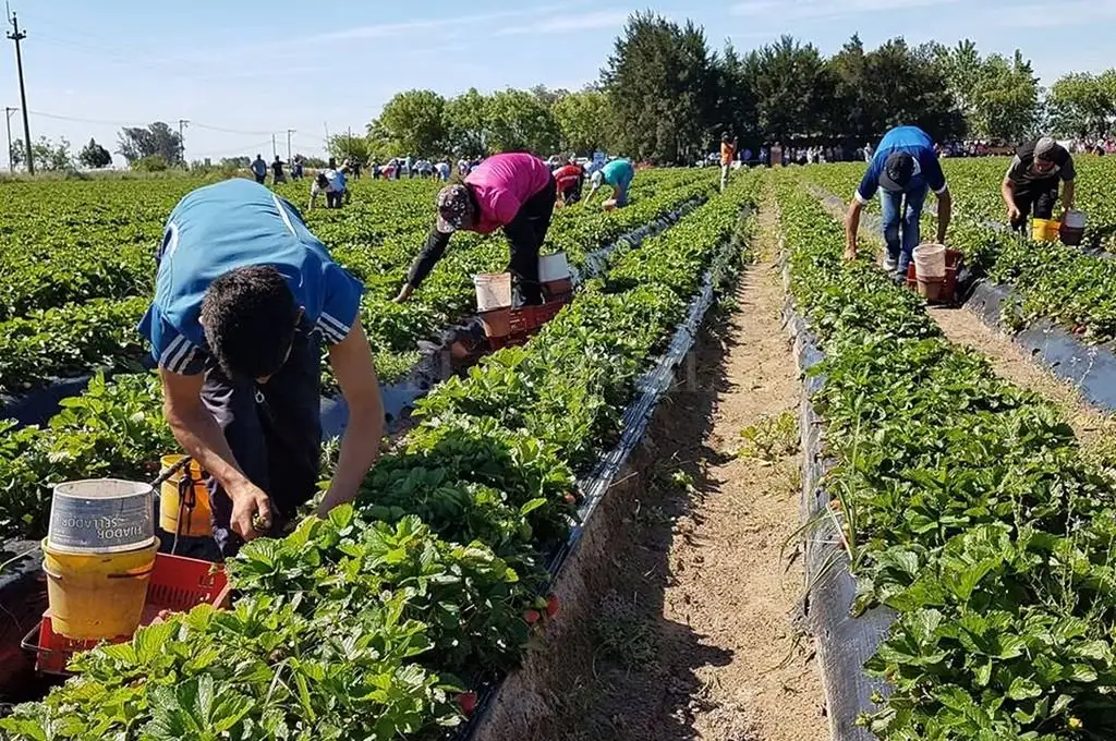 Fijan nuevos salarios mínimos para trabajadores rurales de Santa Fe