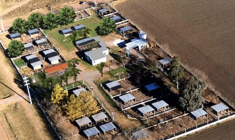 refugio 3