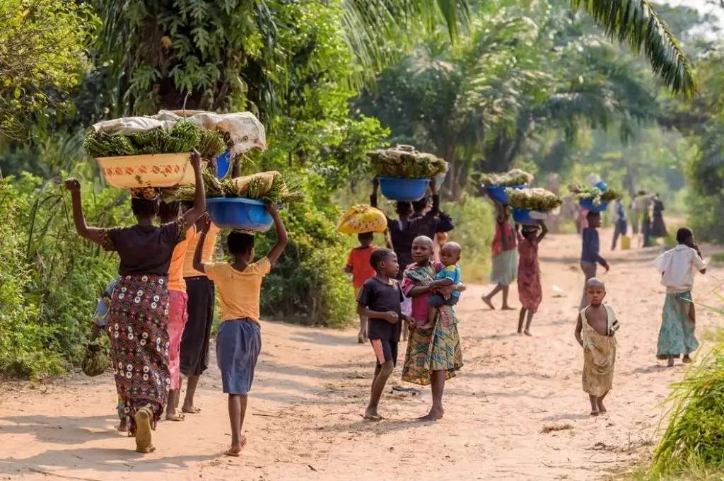 Brutal masacre en el Congo: 50 muertos tras los ataques a dos aldeas
