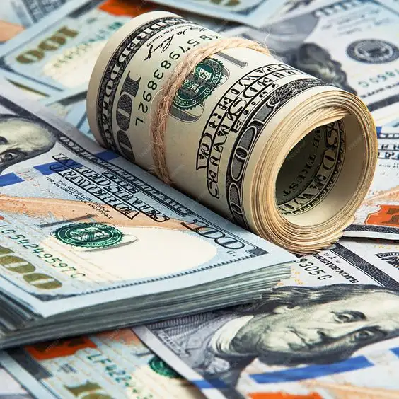 El dólar blue cerró octubre a $1.190 en medio de la pax cambiaria