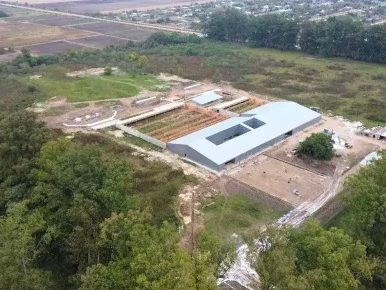 Tiro Deportivo